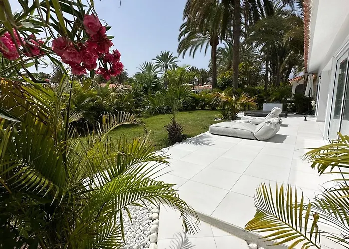 Sun Club P65 Premium Bungalow